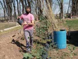 50 Álamos y 18 Brachichitos para el Refugio Municipal Colita