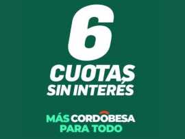 6 cuotas sin interés