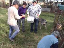 VACUNACIÓN EN EL REFUGIO MUNICIPAL COLITAS