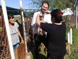 VACUNACIÓN EN EL REFUGIO MUNICIPAL COLITAS