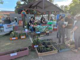 EL PROYECTO DEL KIOSCO ESCOLAR Y LA HUERTA EN EL PASEO