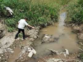 Colocación de larvicidas y fumigación para mosquitos