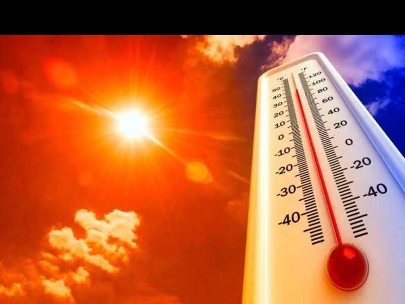Prevención ante la ola decalor