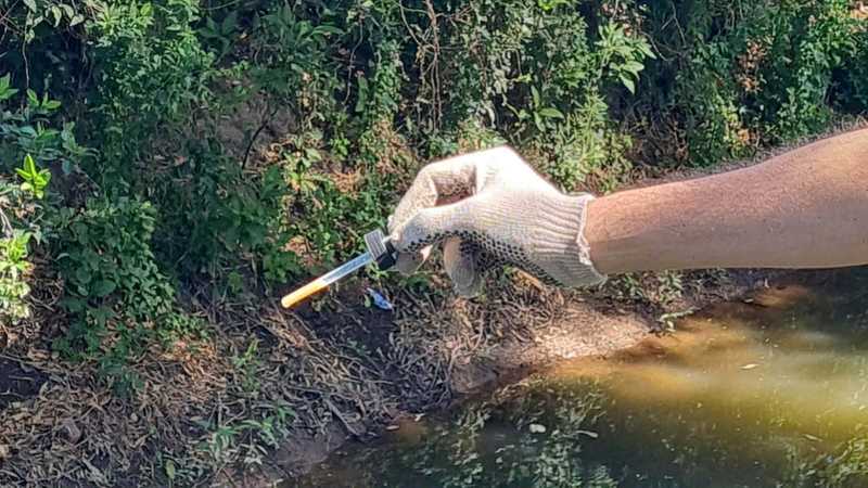 Tareas preventivas desde el área de Bromatología