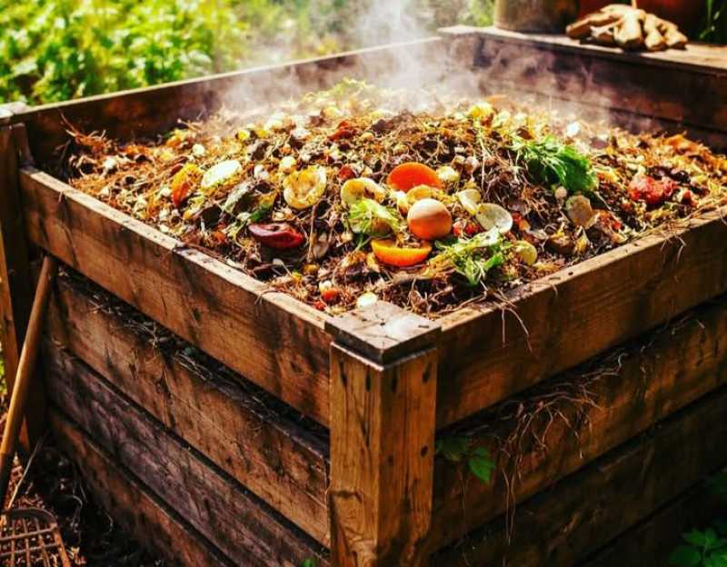 Cuidado del compost con altas temperaturas