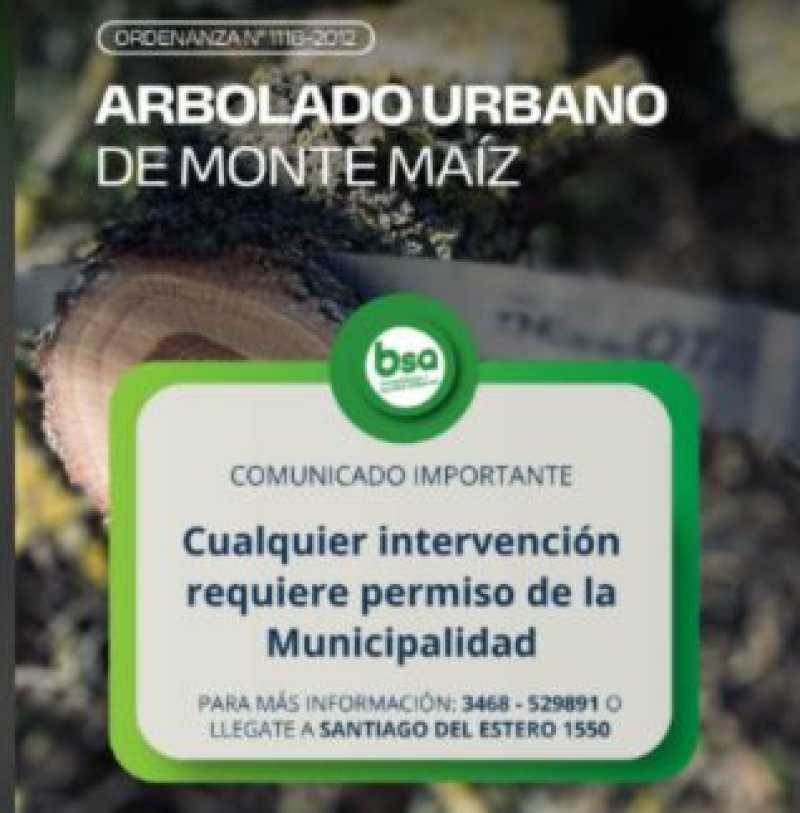 Normativa sobre arbolado público